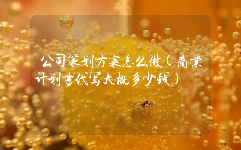 公司策劃方案怎么做(商業(yè)計(jì)劃書(shū)代寫(xiě)大概多少錢)