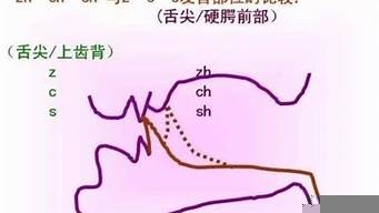 si和shi的區(qū)別（司和師的區(qū)別）