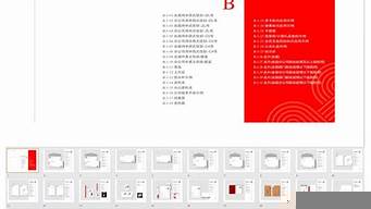 vi設(shè)計(jì)手冊ppt案例（vi設(shè)計(jì)手冊全套案例）