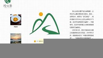 logo設計方案格式模板（logo設計方案格式模板下載）