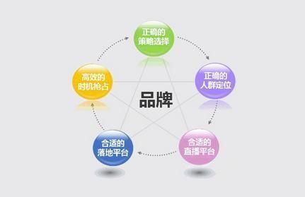 如何理解品牌策劃（如何理解品牌策劃的概念）