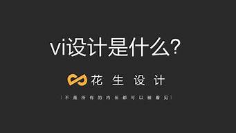 企業(yè)vi是什么意思?。ㄆ髽I(yè)vis是什么意思）