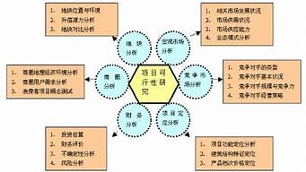 可行性分析怎么寫模板（論文可行性分析怎么寫模板）