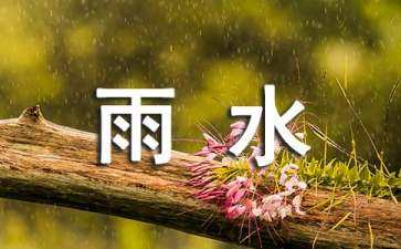 關(guān)于蜜蜂的景觀設(shè)計(jì)（關(guān)于蜜蜂的景觀設(shè)計(jì)圖片）