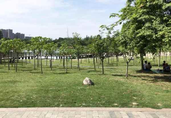 空港運(yùn)動(dòng)公園景觀設(shè)計(jì)（空港運(yùn)動(dòng)公園景觀設(shè)計(jì)方案）