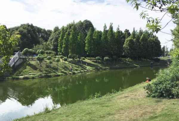 空港運(yùn)動(dòng)公園景觀設(shè)計(jì)（空港運(yùn)動(dòng)公園景觀設(shè)計(jì)方案）