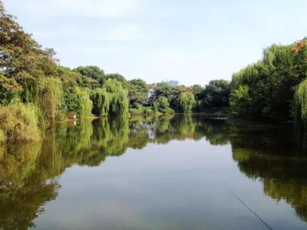 武漢萬(wàn)國(guó)公園景觀設(shè)計(jì)（武漢萬(wàn)國(guó)公園景觀設(shè)計(jì)招聘）