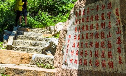 綠洲公園景觀設(shè)計(jì)（綠洲公園景觀設(shè)計(jì)理念）