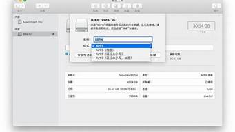 apfs格式缺點(diǎn)（apfs格式是什么意思）