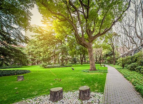 公園入口景觀設計案例分析（公園入口景觀設計案例分析怎么寫）