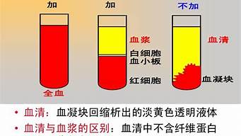 血清LDH是什么