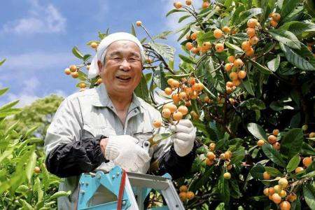 日本人不配活在地球上（日本人不配活在地球上的電影）