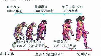 火還能幫人類干什么（火能用來干嘛）