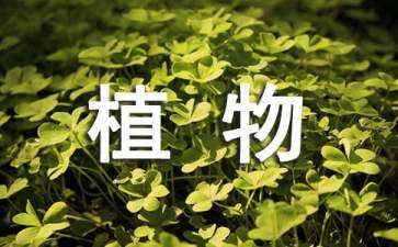 植物景觀設計課程小結(jié)