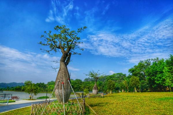 梅州嶺南花園景觀設計公司