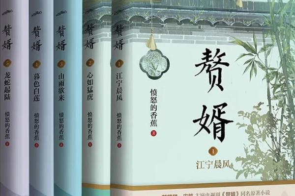 娛樂類小說排行榜（娛樂類小說排行榜）