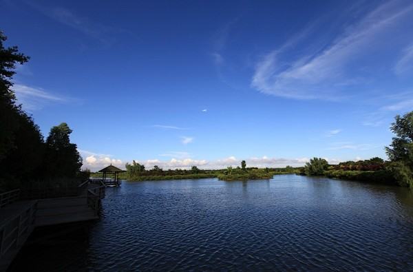 南沙濕地公園景觀設(shè)計(jì)理念（南沙濕地公園景觀設(shè)計(jì)理念有哪些）