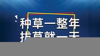 關于小紅書的廣告宣傳（關于小紅書的廣告宣傳語）