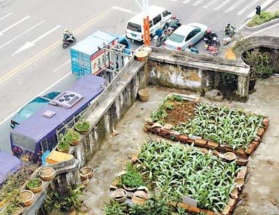 北京屋頂花園景觀設(shè)計公司（北京屋頂花園景觀設(shè)計公司排名）