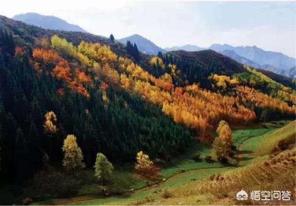 烏魯木齊公園生態(tài)景觀設(shè)計（烏魯木齊公園生態(tài)景觀設(shè)計圖）