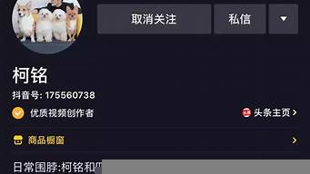 抖音寵物博主名字怎么起（抖音寵物博主名字怎么起的）