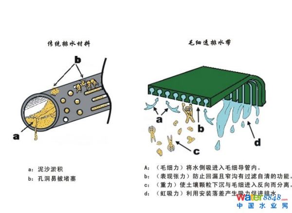 毛細(xì)管的作用的兩個(gè)例子（毛細(xì)管作用現(xiàn)象）