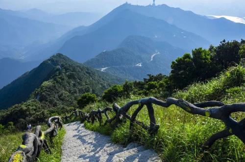 深圳公園景觀設(shè)計(jì)費(fèi)用（深圳公園景觀設(shè)計(jì)費(fèi)用多少）