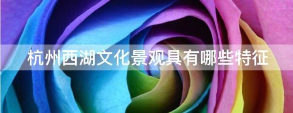 杭州的特色文化介紹（杭州的特色文化介紹詞）