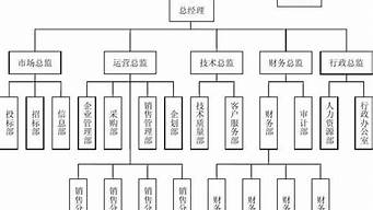 銷售公司的組織架構(gòu)（銷售公司的組織架構(gòu)和崗位職責(zé)）