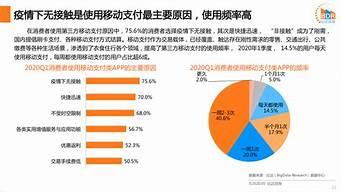 國內知名的第三方支付平臺（國內知名的第三方支付平臺排名）