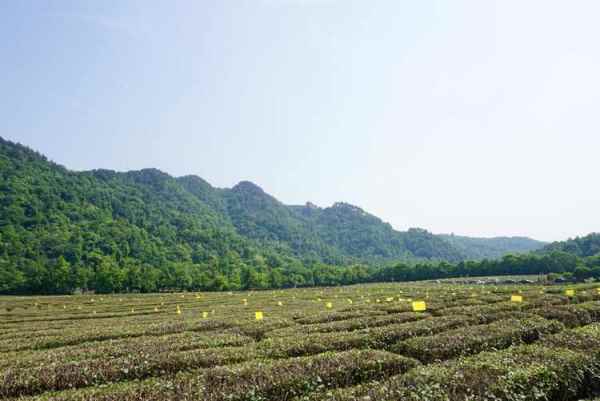 幾月適合去杭州（幾月適合去杭州白馬湖公園）